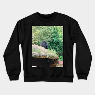 Bear Crewneck Sweatshirt